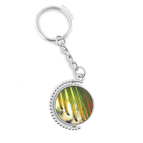 Llavero de planta y sol con cubo giratorio, el detalle perfecto para regalar en un cumpleaños