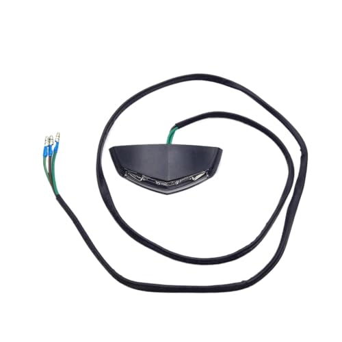 Feux arrière et support de plaque pour GasGas EC250 EC300 EC250F EC350F