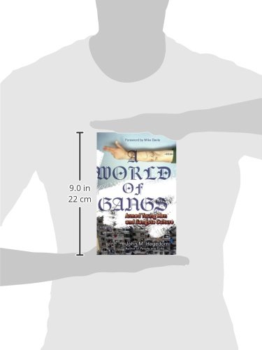 A World Of Gangs: Armed Young Men And Gangsta Culture (Volume 14) (Globalization And Community) #TOP1