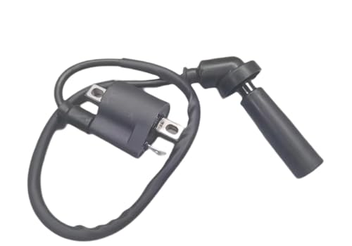 �_�΃R�C���p�X�p�[�N�v���O�L���b�v���C���[�u�[�c �ɓK������q���\�� GT250 �ɓK������GD250R GV125 GV250 GT125 RX125 XRX125SM RT125 HG5 HK3 �����C�O�j�b�V�����R�C�� �o�C�N