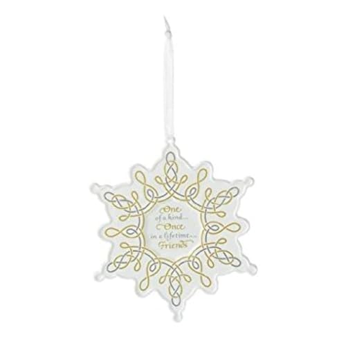 Hallmark Keepsake Ornament Once in a Lifetime Friends 2013