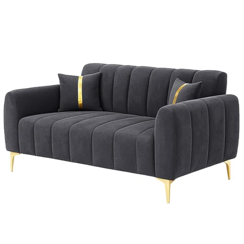 Image of Furny Harmon 2 Seater Fabric Sofa Set (Dark Grey) | Soft Velvet Fabric | Modern Design | Comfortable Seating | Living Room Furniture