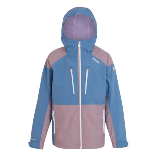 Childrens/Kids Highton V Full Zip Hoodie (15-16 Years) (Coronet Blue/Heather)3