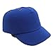Amagogo Baseball Lightweight Safety Hard Hat, Anti Outdoor Baseball Workshop Labor Insurance Protective Cap, Blue
