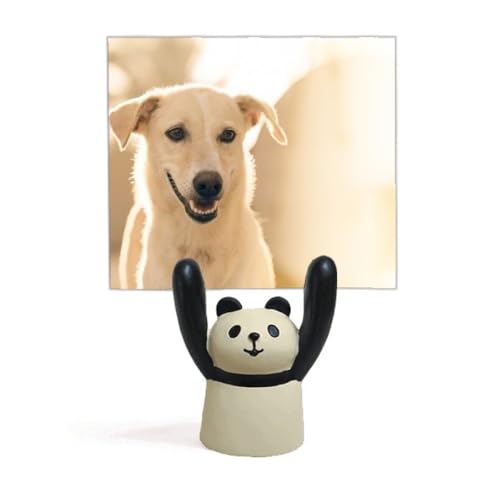 Support photo de chien blanc SLE cadeau parfait pour passionnés