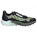 adidas Men's Terrex Agravic Flow 2 GTX Shoes-Low