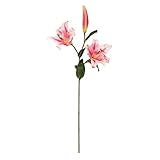 EUROCINSA Ref.56688C21 Lilium Rosa, Caja de 6uds, 94cm