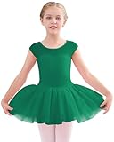 Stelle Ballet Leotards for Girls Toddler Leotard with Tutu Skirt Dance Tutu Dress (Green,2-3T)