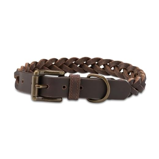 Fettleder Hunde Halsband geflochten – Robustes Lederhalsband aus Handarbeit – hochwertiges Büffel-Leder Halsband Clarissa (S (31.0-40.0cm))