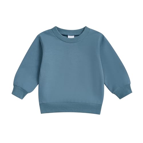 Toddler Baby Boy Girl Oversized Sweatshirt Solid Color Long Sleeve Crewneck Pullover Tops Kids Fall/Winter Clothes