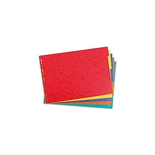 Exacompta 2905E Divisori e Segnaletica, 43 x 29.70 x 0.40 cm