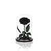 Preserved Roses Black Roses in Glass Dome, Medium, Preserved Flowers for Women