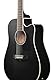 Ibanez PF16MWCE-WK Weathered Black Open Pore - Westerngitarre