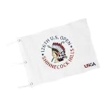 COGOLFING 2026 U.S.Tour Golf Flag 14 x 20 Inch – Single-Sided Embroidered Tournament Flag with Grommet, 420D Nylon, Backyard Putting Green, Golf Club & Golf Decor, White