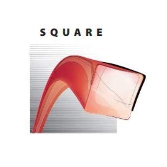 Mr Mower Parts Heavy-Duty Professional Red Square Trimmer Line .095 5LB Spool