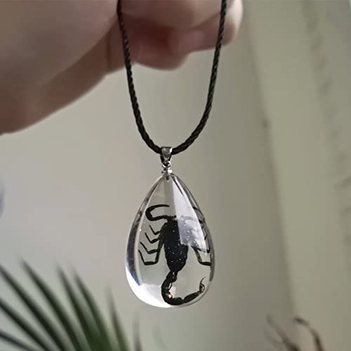 Black Scorpion Necklace Resin Necklace Bug Necklace Transparent Scorpion Pendant Real Black Scorpion Specimen Clear Necklace Scorpion Necklace for Women Men2
