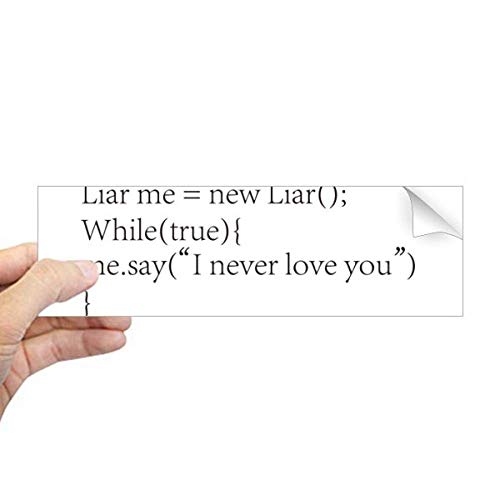 Calcomanía rectangular de Programmer Declaración de Liar Me para parachoques y ventanas 1
