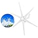 1600W 24V Wind Turbine Generator with Controller, 6 Nylon Fiber Blades, for Solar and Wind Hybrid Power Systems, Industrial Grade