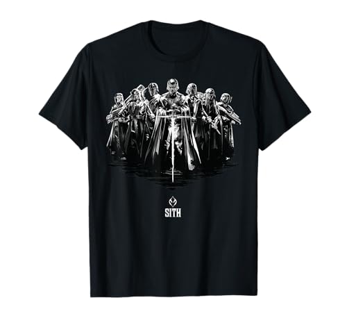 T-shirt Kylo Ren Star Wars L'Ascension de Skywalker pour homme passionné de la saga