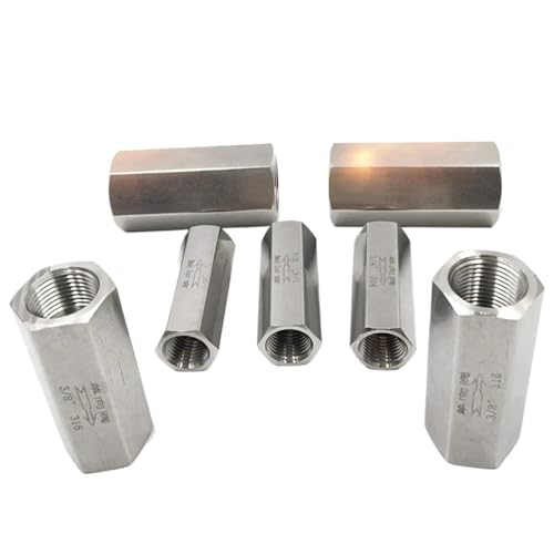 Válvula de retención unidireccional de acero inoxidable 304/316, 1/8', 1/4', 3/8', 1/2', 3/4', 1', BSPT, 1 unidad(3/4',316 Stainless Steel)
