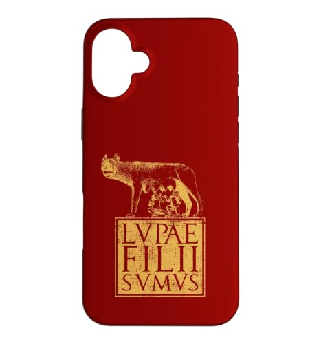 �Ñネ�[�}���[�}�鍑�̈��p �X�}�z�P�[�X iPhone 16 Plus �p