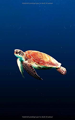 Télécharger 2020-2021: Agenda Scolaire 2020-2021 / Une page par jour / Planificateur Académique / Tortue en hau PDF