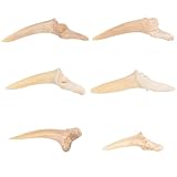 CAXUSD Collana da Uomo Ciondoli di Denti di Squalo Fossili, Set da 6 Pezzi, Leggera e Regolabile, Gioielli Maschili per Uso Quotidiano e Vacanze