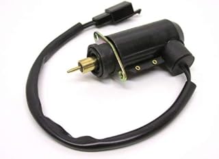 E Choke/Kaltstarter Mikuni Vergaser für CPI/Generic/Keeway/TGB Bullet/Pegasus R50X / Piaggio Hexagon SKR/Sachs Speedforce ...