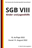  SGB VIII - Kinder- und Jugendhilfe, 10. Auflage 2022: Die Gesetze der Bundesrepublik Deutschland