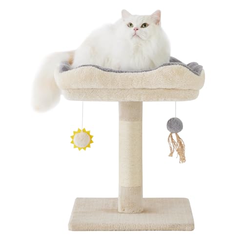 Gardner Pet Kleiner Katzenbaum, Kratzbaum klein mit 40 x 30 cm gepolsterter...