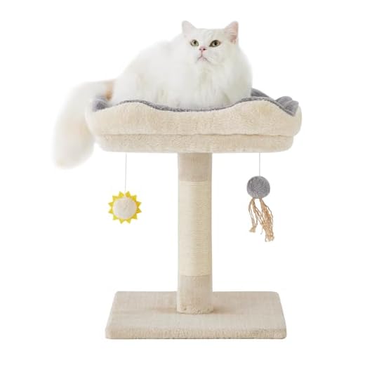 Gardner Pet Kleiner Katzenbaum, Kratzbaum klein mit 40 x 30 cm gepolsterter Plattform, 51 cm hoch Katzenkratzbaum mit geflochtenem Sisal und Plüschball, Geeignet für Kätzchen, Beige