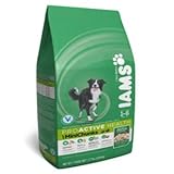 IAMS Proactive Health Minichunks Premium Dry Dog Food, Adult Dog Food Dry Recipe, 15 lb. Bag