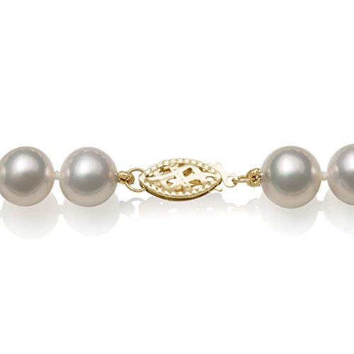 Belacqua AA Quality White Cultured Freshwater Pearl Bracelet in 14K Yellow Gold, Fishhook Clasp, Size- 6.0-7.0mm, Length- 7 Inches, Real Pearl Jewelry for Women, Gift Box Included by Belacqua - Image 3