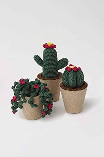 Kit de gancho DMC de cactus de 8 cm para relajarse tejiendo a crochet 3