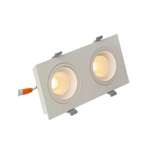 Aisilan Dimmable Recessed Lighting Rectangle 2-Head, 14W Canless Gimbal Light 3.5×8In, White Adjustable Ceiling Spotlight, LED Eyeball Downlight, CREE COB CRI 97+ Warm White, for Living Room Corridor