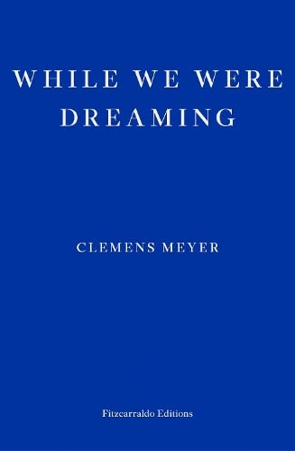 While We Were Dreaming: Clemens Meyer