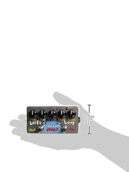 Amazon.com: ZVex Effects Hand Painted LO-FI Loop Junky