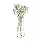 UNIVERSALDESIGN - Das universelle Design der Vase erfüllt seinen Zweck unabhängig von der Jahreszeit. Sie können darin eine Vielzahl von Arrangements erstellen, von zarten Frühlingssträußen über interessante Kompositionen von Sommer- und Herbstfrüchten bis hin zu Winterlaternen.