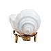 Authentic Non-Blowing Jal Shankh (Pani Shankha) with Brass Stand for Pooja Abhishekam (9-10 cm)