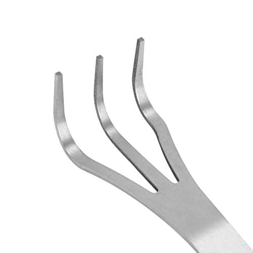 Ferramentas de árvore de Bonsai, Ancinho de Raiz de Aço Inoxidável 3 Pinos para Soltar o Solo Ferram