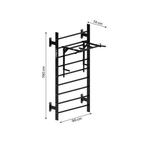 Image of Flat Swedish Ladder with Multi Purpose Bar Heavy Duty Powder Coated Metal Wall Mounted Ladder & Bar for Yoga Physiotherapists Calisthenics & Gymnastics (BLACK, 37KG)