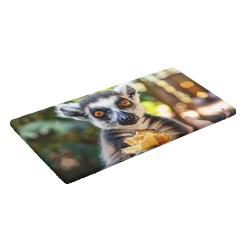 Nappe élastique lémurien pour table 5 pieds imperméable nappe lavable intérieur extérieur