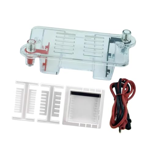 Perfeclan Electrophoresis Aparato Experimento Física Biología Tanque Electroforesis Gel Soporte Juguete Educativo PP Adecuado para Enseñanza Escolar y Perfeclan Electrophoresis Aparato Experimento Física Biología Tanque Electroforesis Gel Soporte Juguete Educativo PP Adecuado para Enseñanza Escolar y