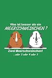 patsy kensit songs  Meerschweinchen: Notizbuch / Tagebuch / Trainingsbuch / Skizzenbuch - DIN A5 120 Seiten punktiert / Punkteraster - Meerschweinchen Geschenk