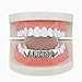 ASLLRISONY Rapper Men and Women Fashion Accessories Gold/Silver 8 Top Teeth 8 Bottom Tooth Hip Hop Mouth Grills with Extra Molding Bars (Silver Set)
