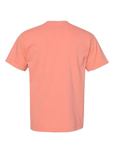 Image of Comfort Colors Adult Short Sleeve Tee, Style G1717