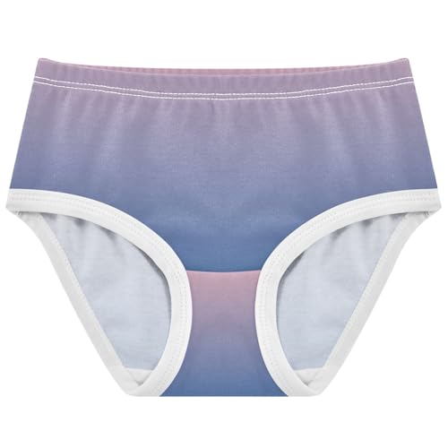 Joisal Bright Toddler Girls Underwear 2t Cotton Little Girl Panties Blush Pink Blue Gradient Briefs Undies Kids