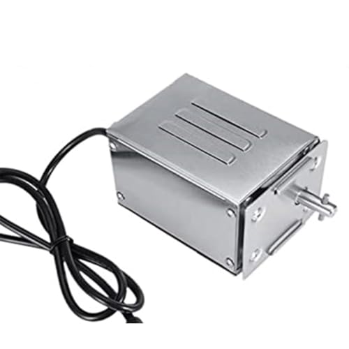 Lonrtesw Asador de Barbacoa con Motor Eléctrico para Cabra, Cerdo, Pollo, Asador, Accesorios para Barbacoa Al Aire Libre SP-S40, Acero Inoxidable, Enchufe UE EU Plug