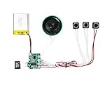 128 MB Speicher Mp3 Soundmodul, USB Anschluss, 128 MB Speicher, Wiederaufladbarer Akku, Lautsprecher, 3 Tasten zum bedienen