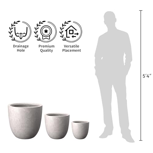 Image of Kante Accent Round Bowl CON Gray Concrete Planter 14 inch Dia, Outdoor